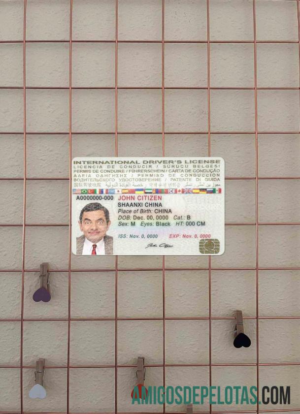 Carteira de Habilitação Internacional fotolook frente exemplo